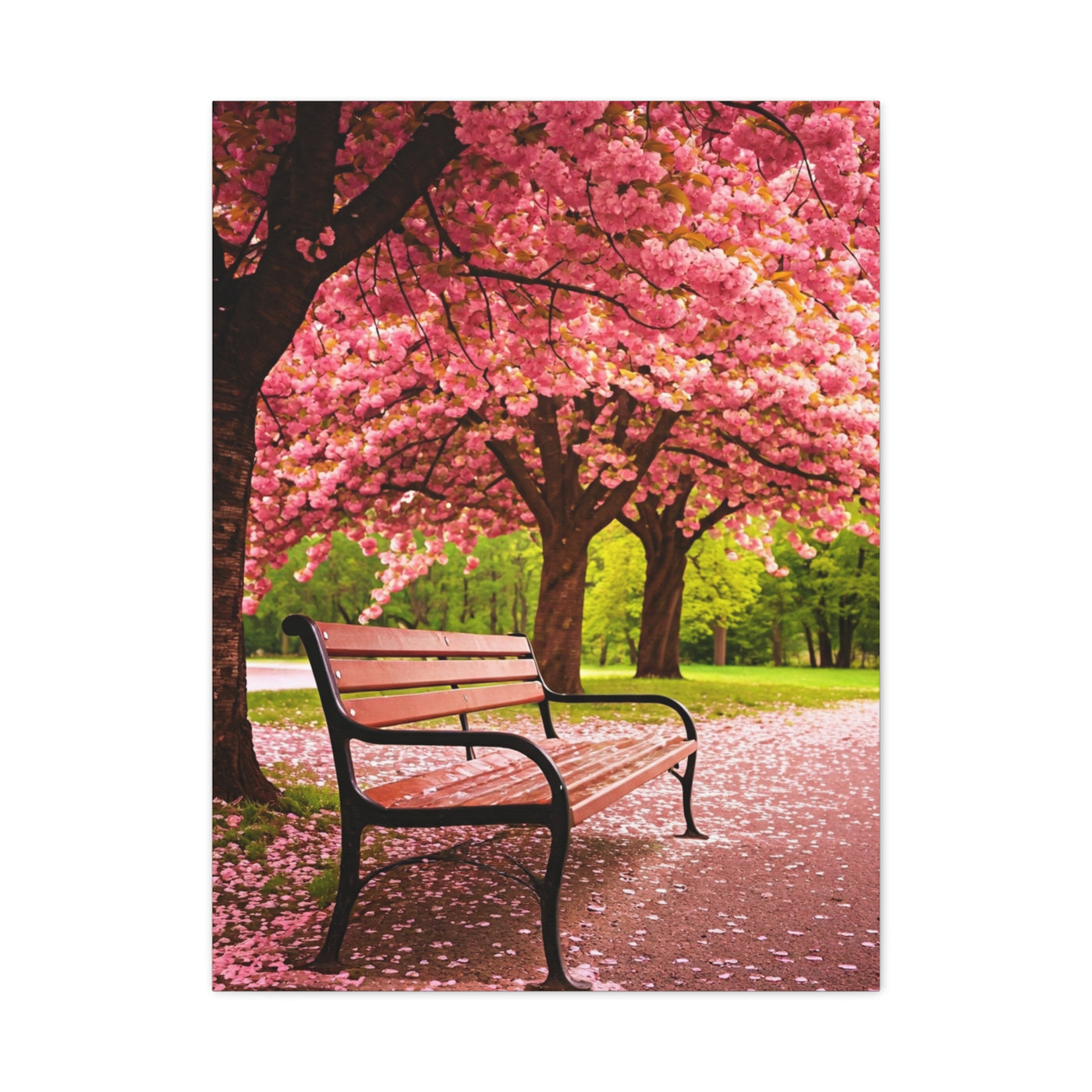 Cherry Blossom Park Bench Serenity Wall Art & Canvas Prints