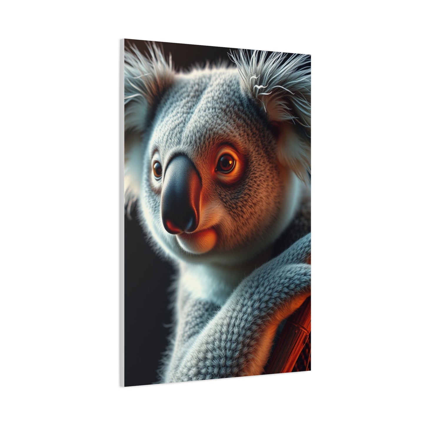 Koala Art Refined Canvas Wall Art & Canvas Print