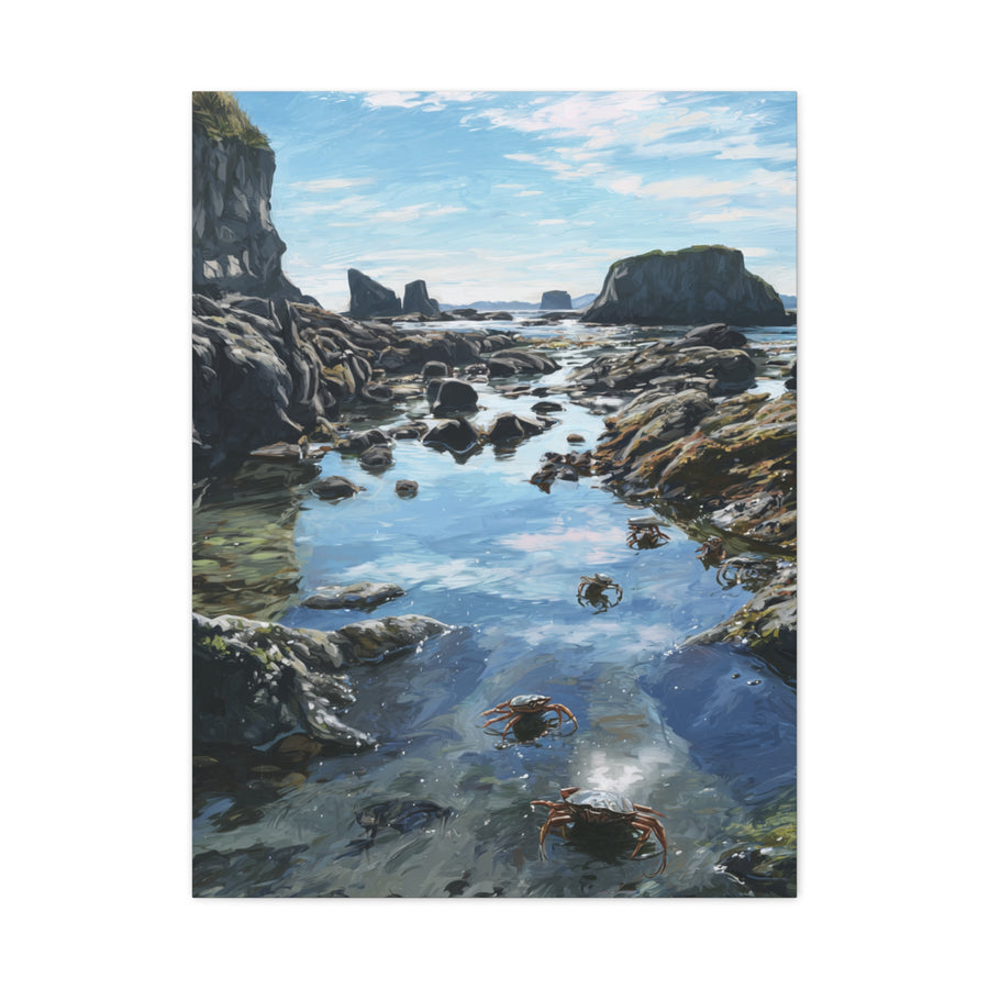 Tide Pools Along Rocky Coastal Shore Wall Art & Canvas Print