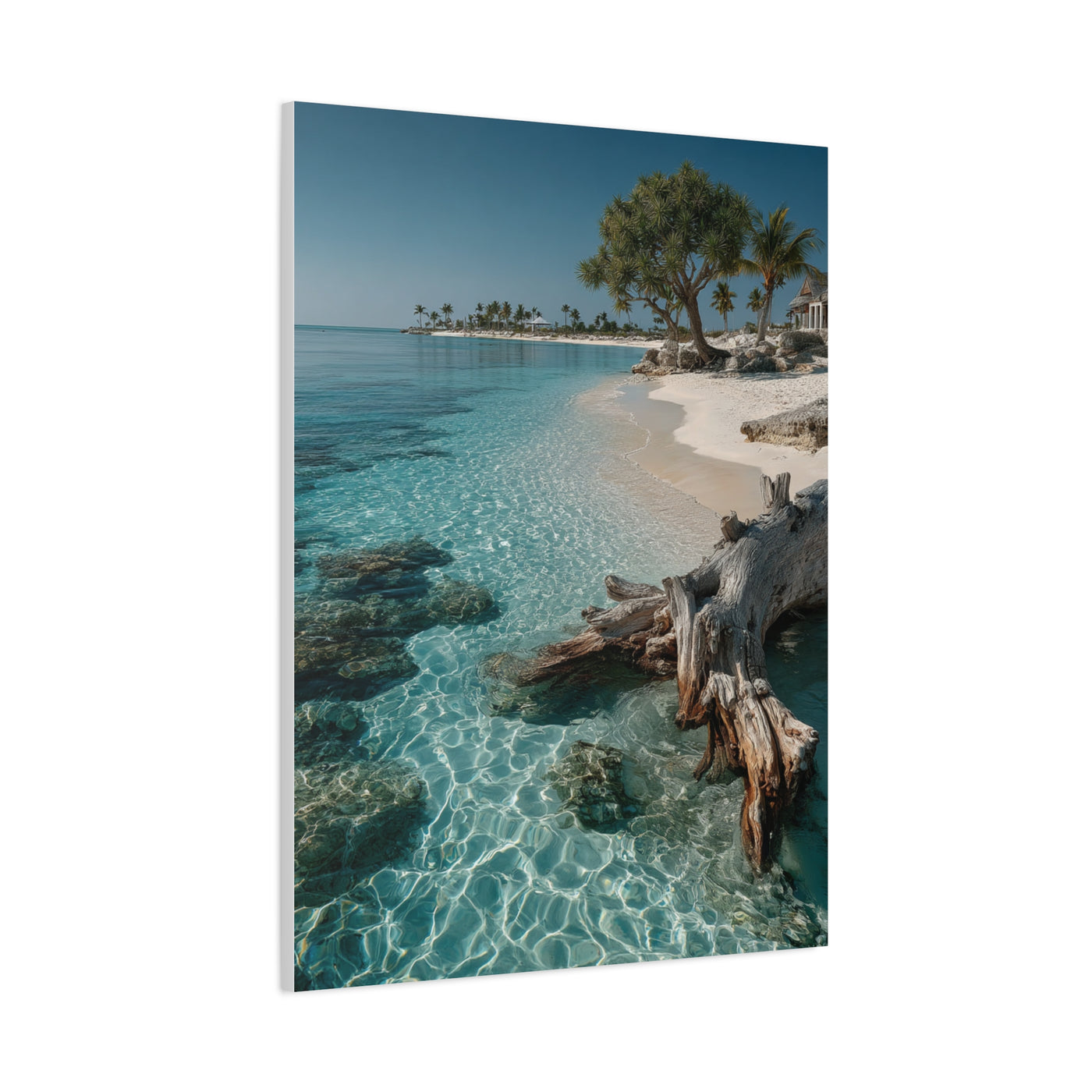 Tropical Driftwood Cove Wall Art & Canvas Print