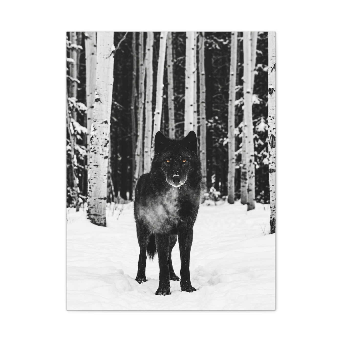 Snow Forest Black Wolf Minimal Scene Wall Art & Canvas Print