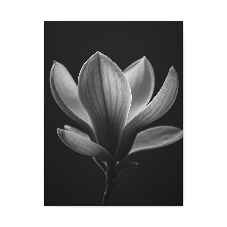 Magnolia Wall Art