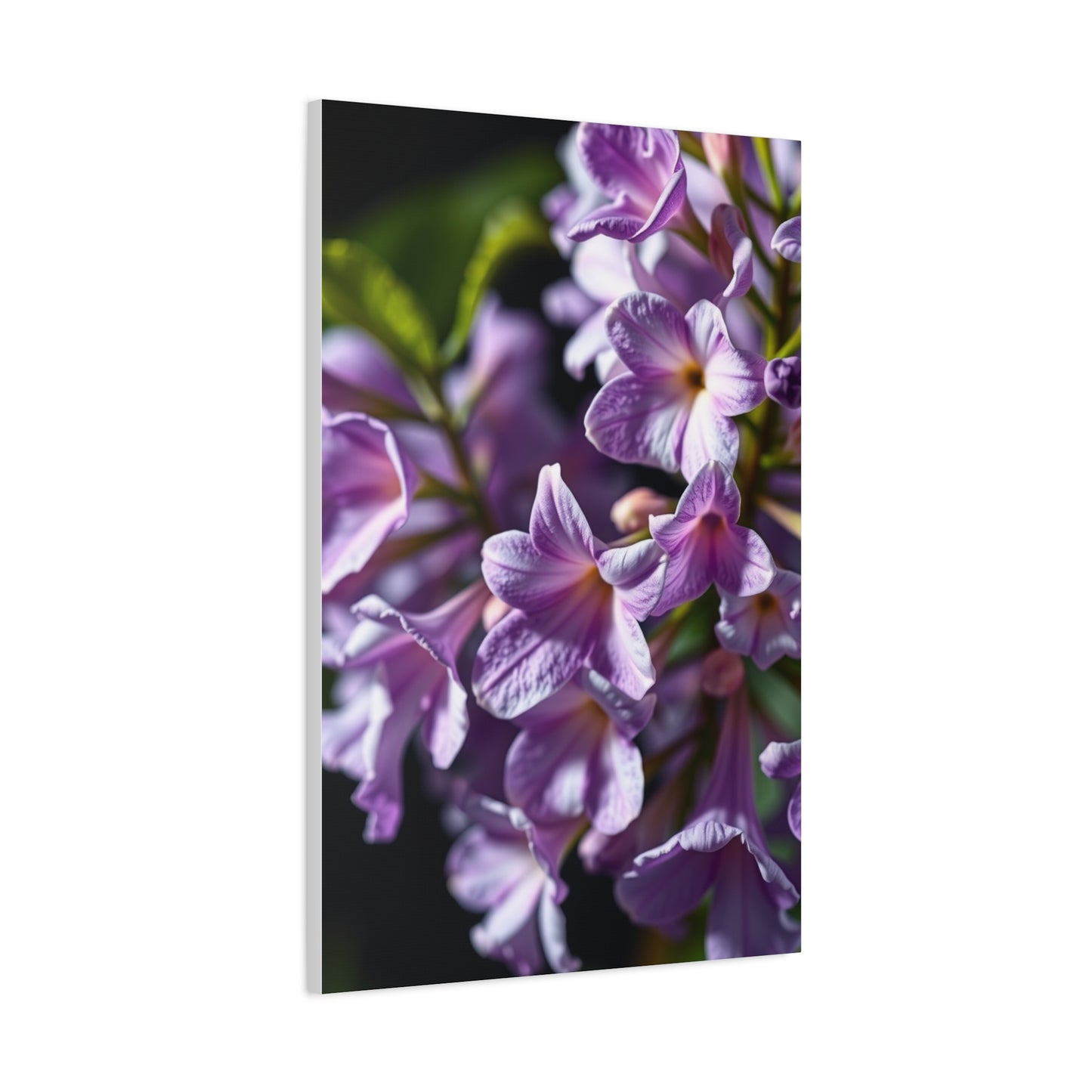 Vision Lilac Flower Art Art Wall Art & Canvas Print