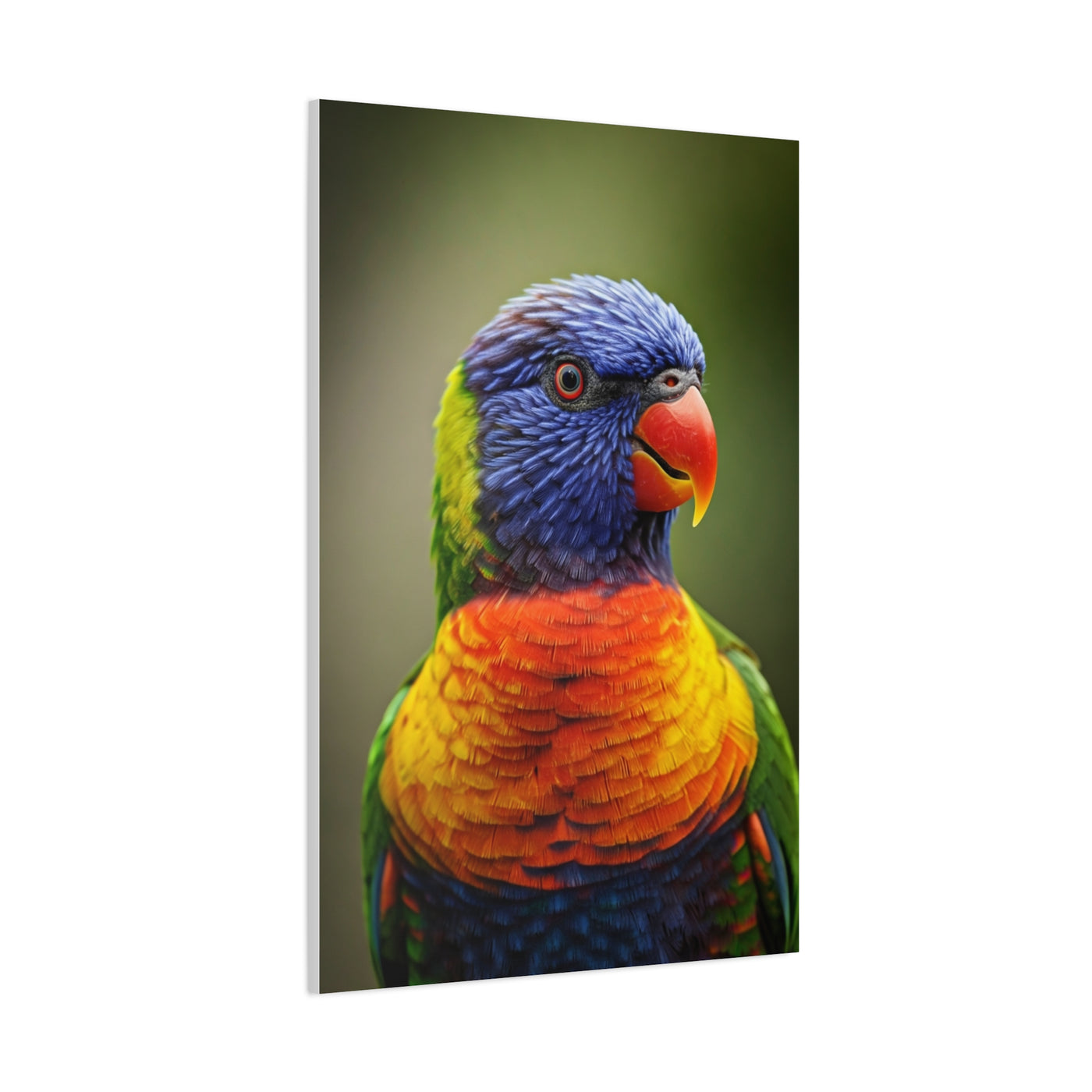 Vibrant Rainbow Lorikeet Wall Art & Canvas Prints