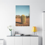 Barrel Cactus Desert Minimalism Wall Art & Canvas Prints