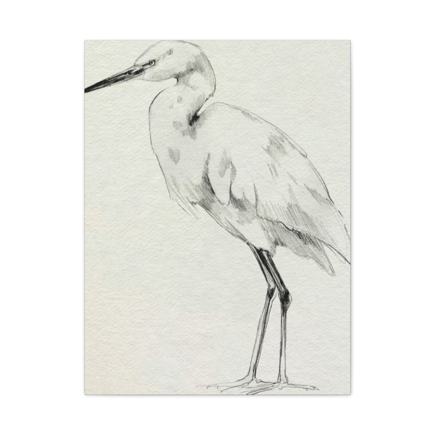 Herons Drawing Wall Art & Canvas Prints