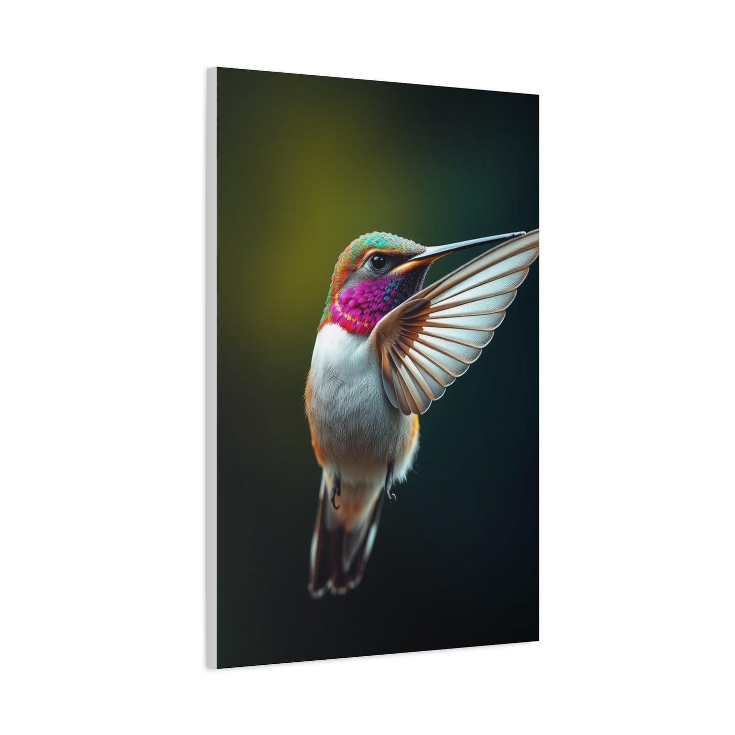 Humming Bird Art Supreme Canvas Wall Art & Canvas Print