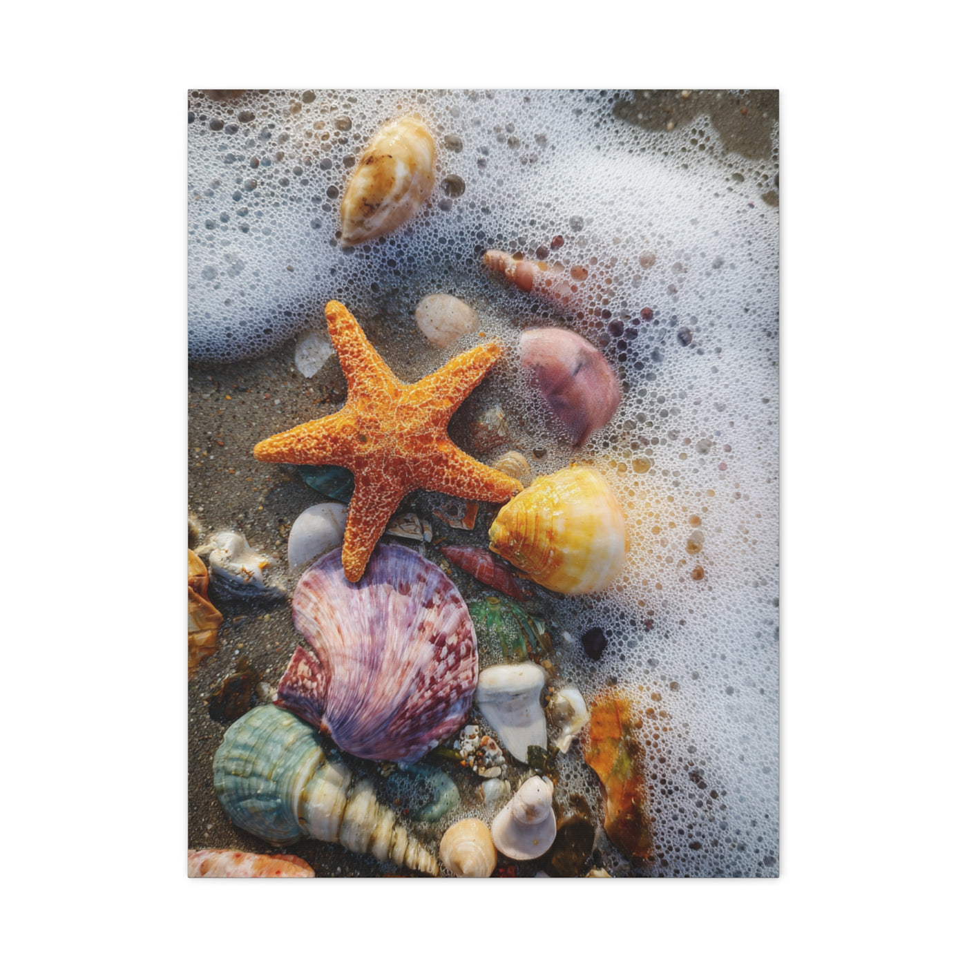 Seashells and Starfish on Ocean Shore Wall Art & Canvas Print