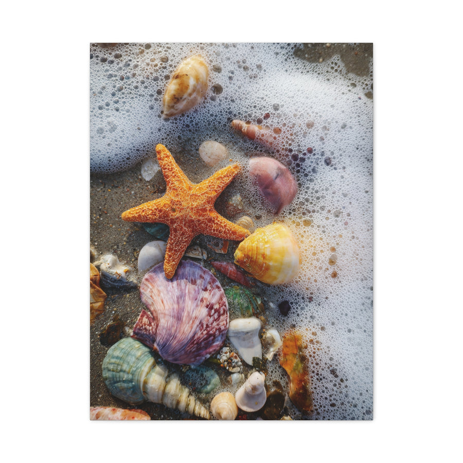 Seashells and Starfish on Ocean Shore Wall Art & Canvas Print
