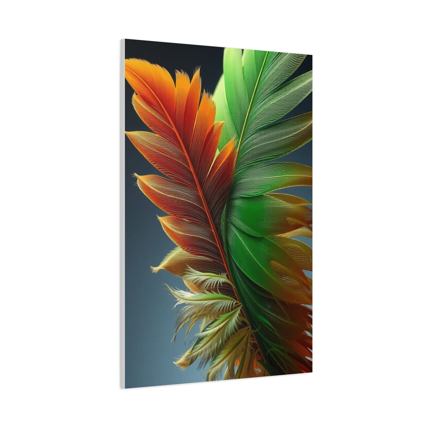 Supreme Feather Art Beautiful Collection Wall Art & Canvas Print