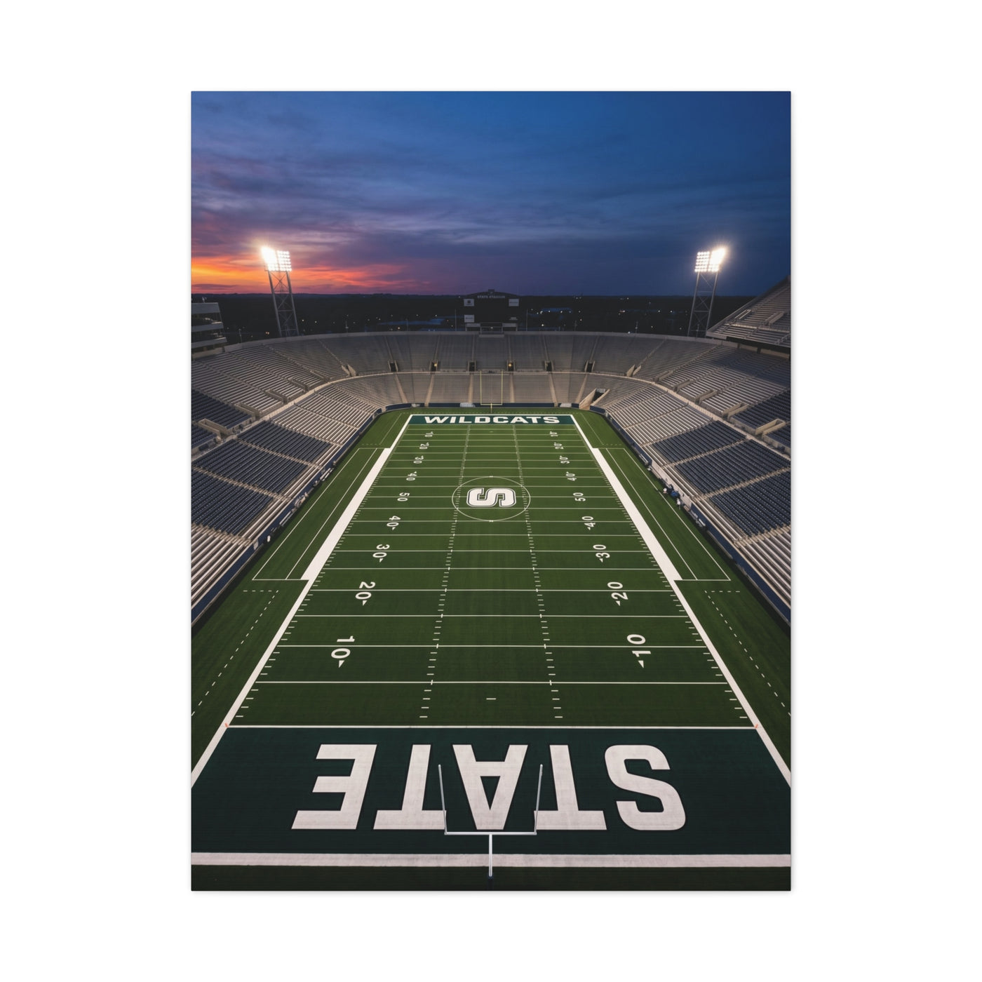 Stadium Under Lights Panorama Sports Wall Art & Canvas Print