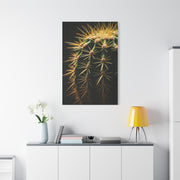 Desert Geometry Cactus Close-Up Wall Art & Canvas Prints