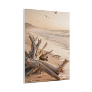 Driftwood Coastal Stillness Shore Wall Art & Canvas Print
