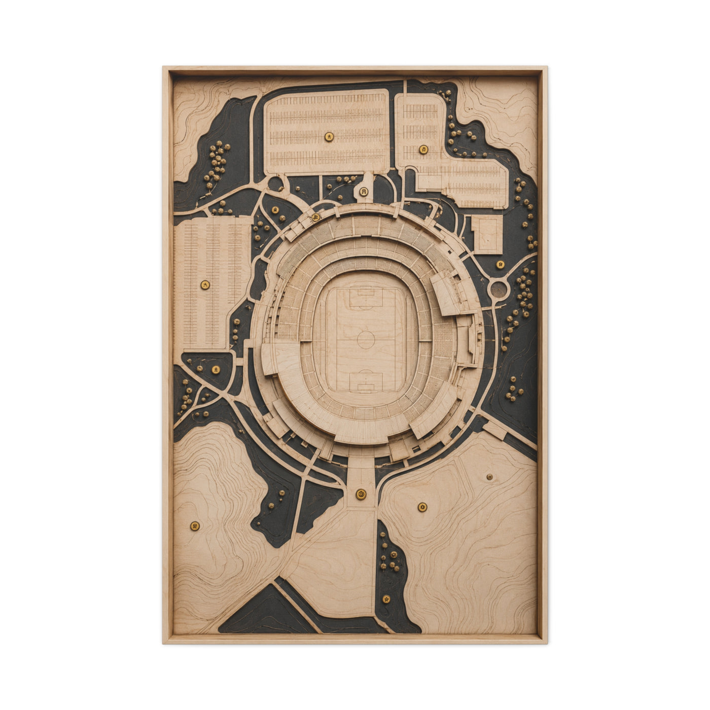 Topographic Stadium Map Sports Wall Art & Canvas Print