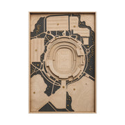 Topographic Stadium Map Sports Wall Art & Canvas Print