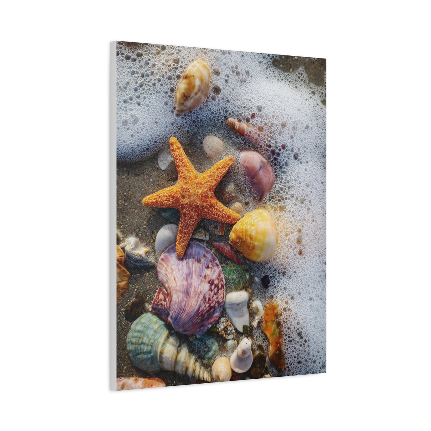 Seashells and Starfish on Ocean Shore Wall Art & Canvas Print