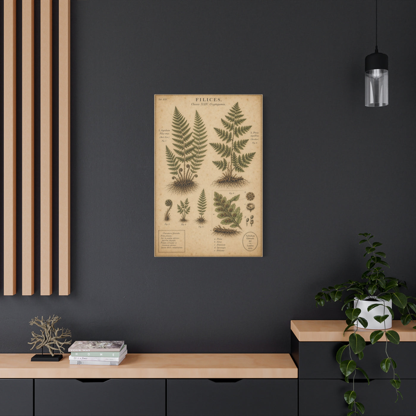 Antique Fern Herbarium Plate Wall Art & Canvas Print