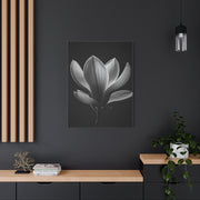 Magnolia Blossom Serenity Monochrome Wall Art & Canvas Prints