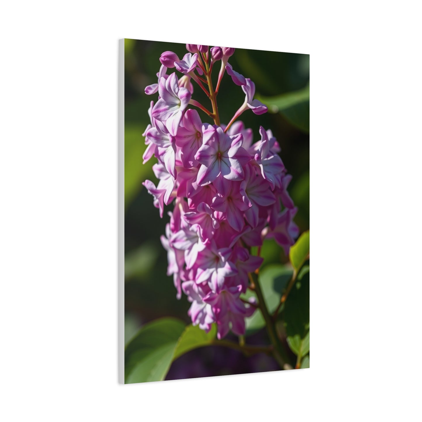 Lilac Flower Art Supreme Gallery Wall Art & Canvas Print