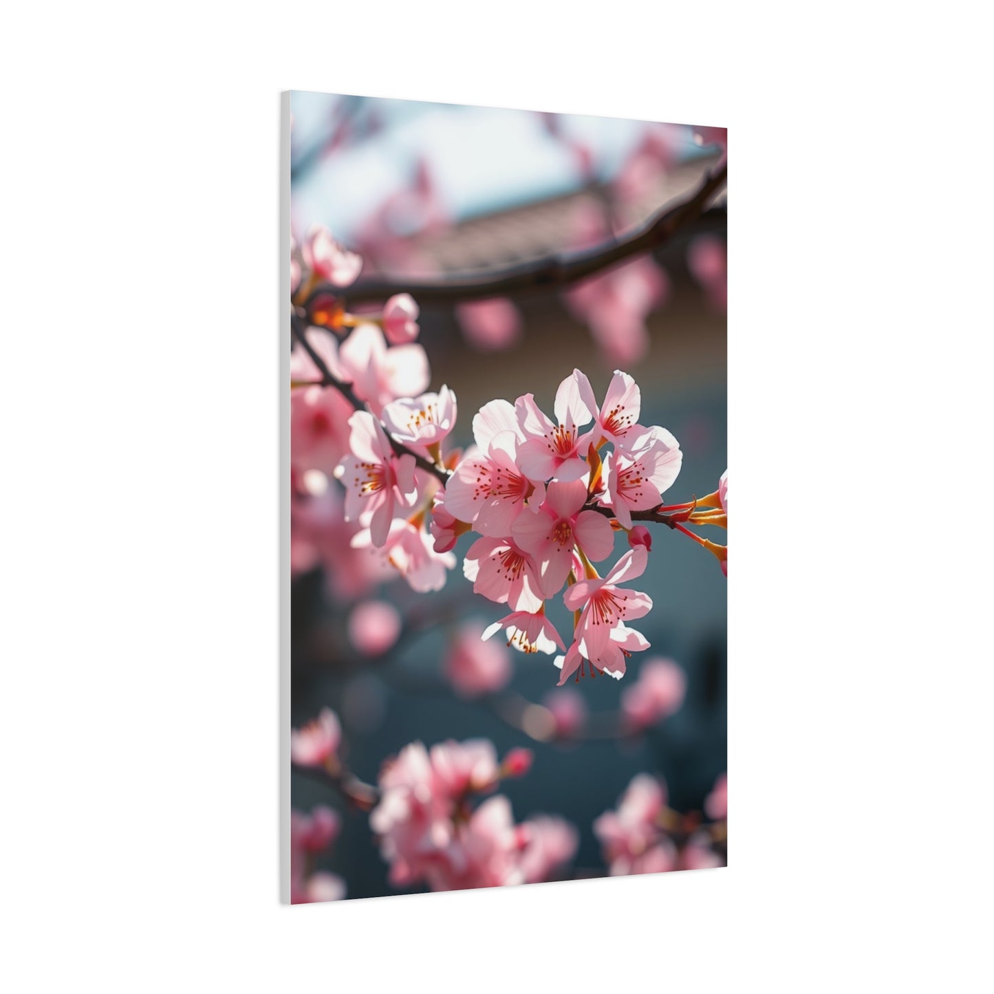 Blossom Reverie Canvas
