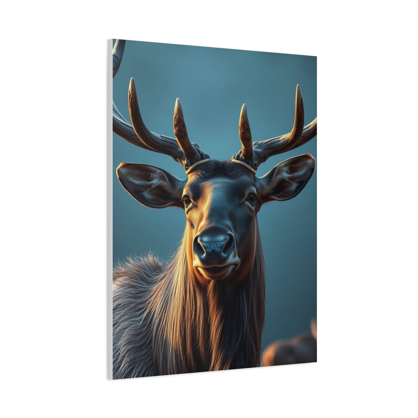 Sovereign Elk Elegance