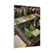 Green Antique Fern Herbarium Study Wall Art & Canvas Print