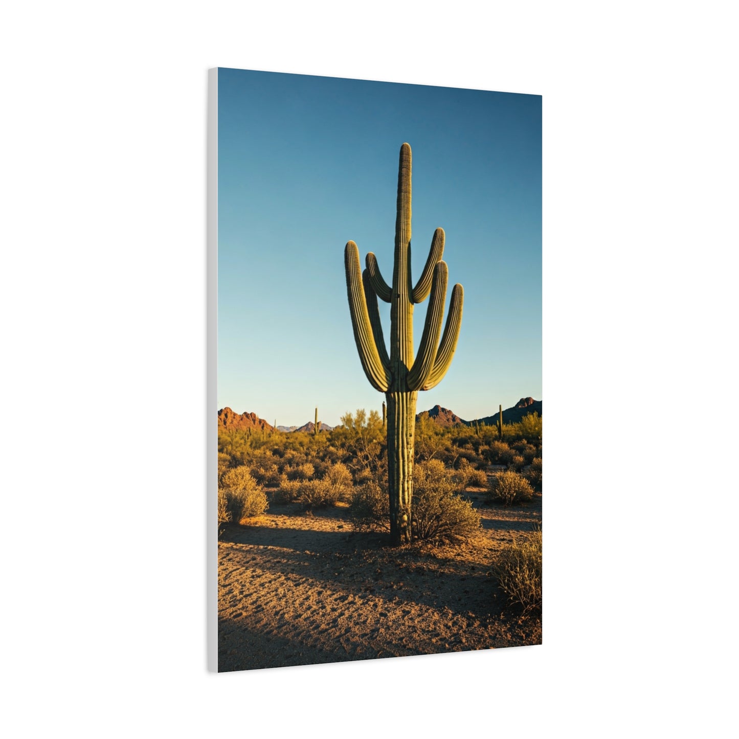 Desert Saguaro Sentinel Wall Art & Canvas Prints