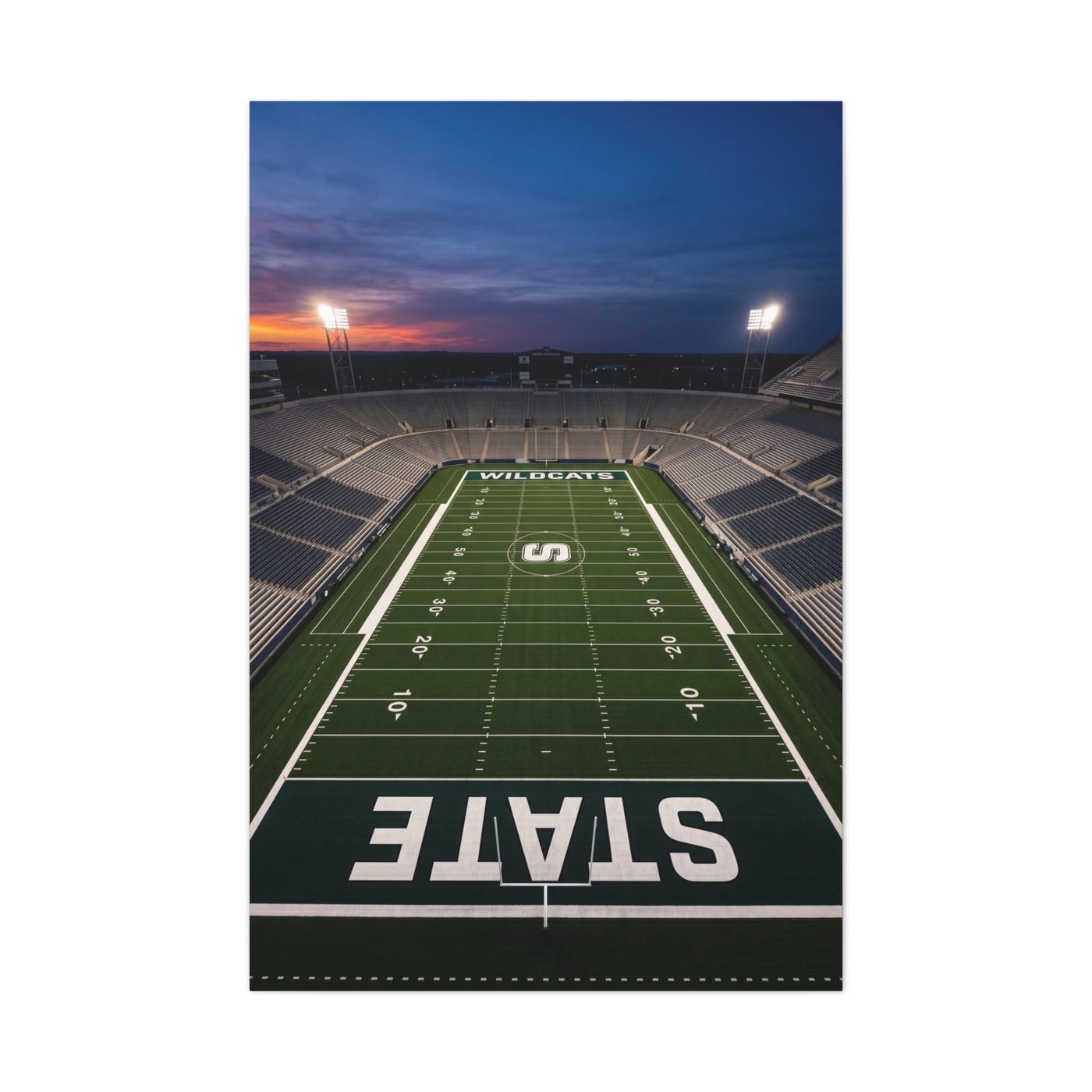 Stadium Under Lights Panorama Sports Wall Art & Canvas Print