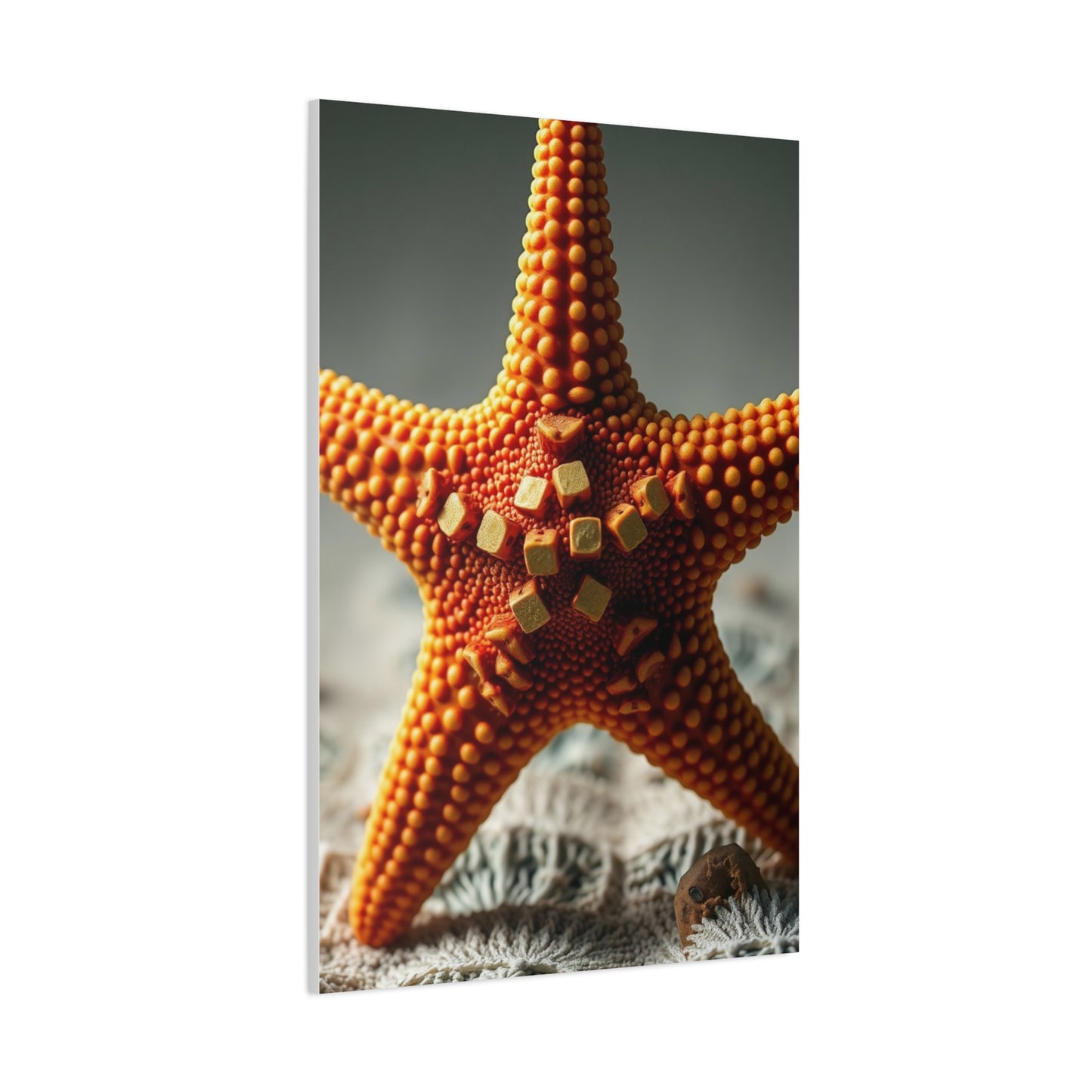 Supreme Starfish Art Beautiful Collection Wall Art & Canvas Print