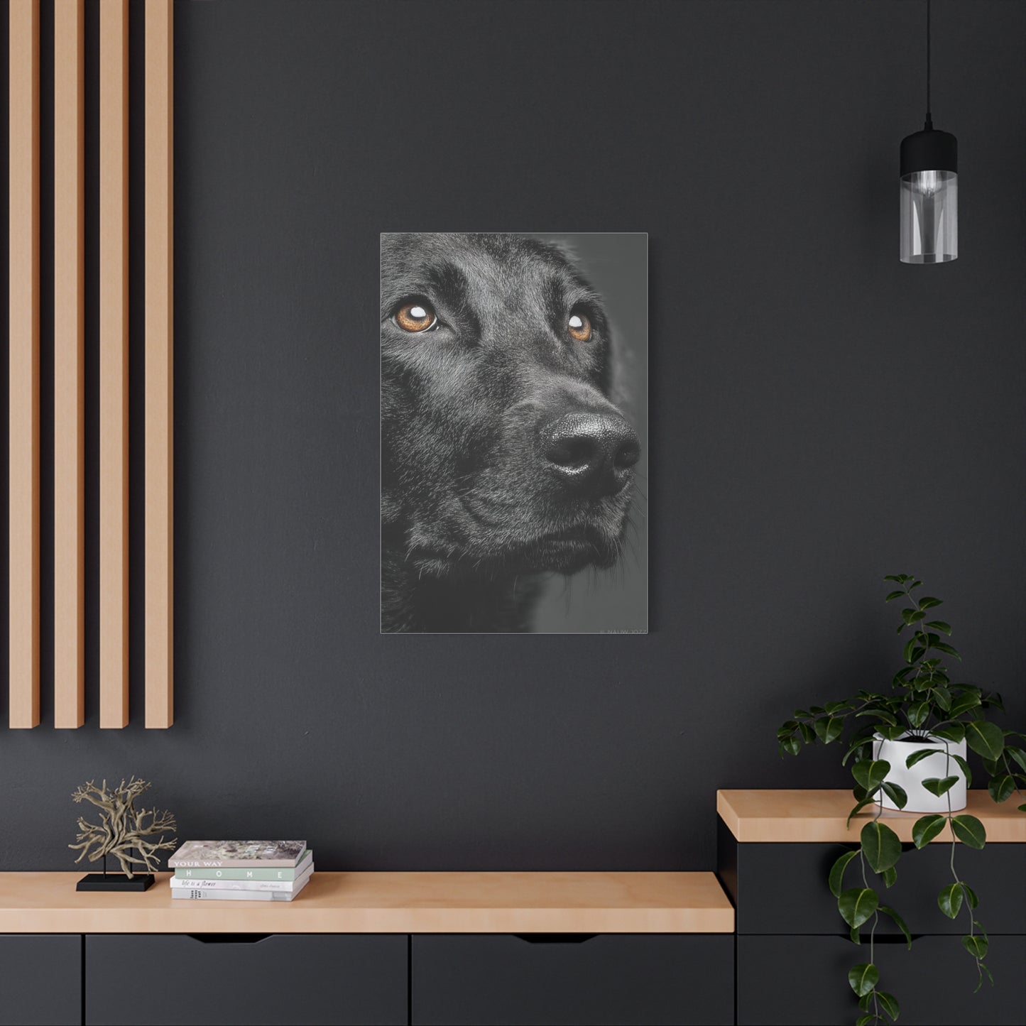 Black Labrador Fine Art Close-Up Wall Art & Canvas Print
