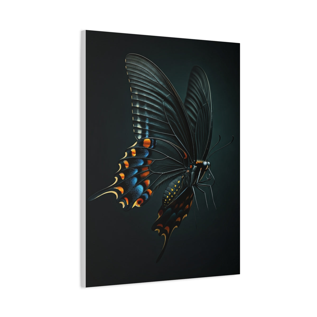 Dark Swallowtail Butterfly in Flight Wall Art & Canvas Prints