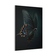 Dark Swallowtail Butterfly in Flight Wall Art & Canvas Prints
