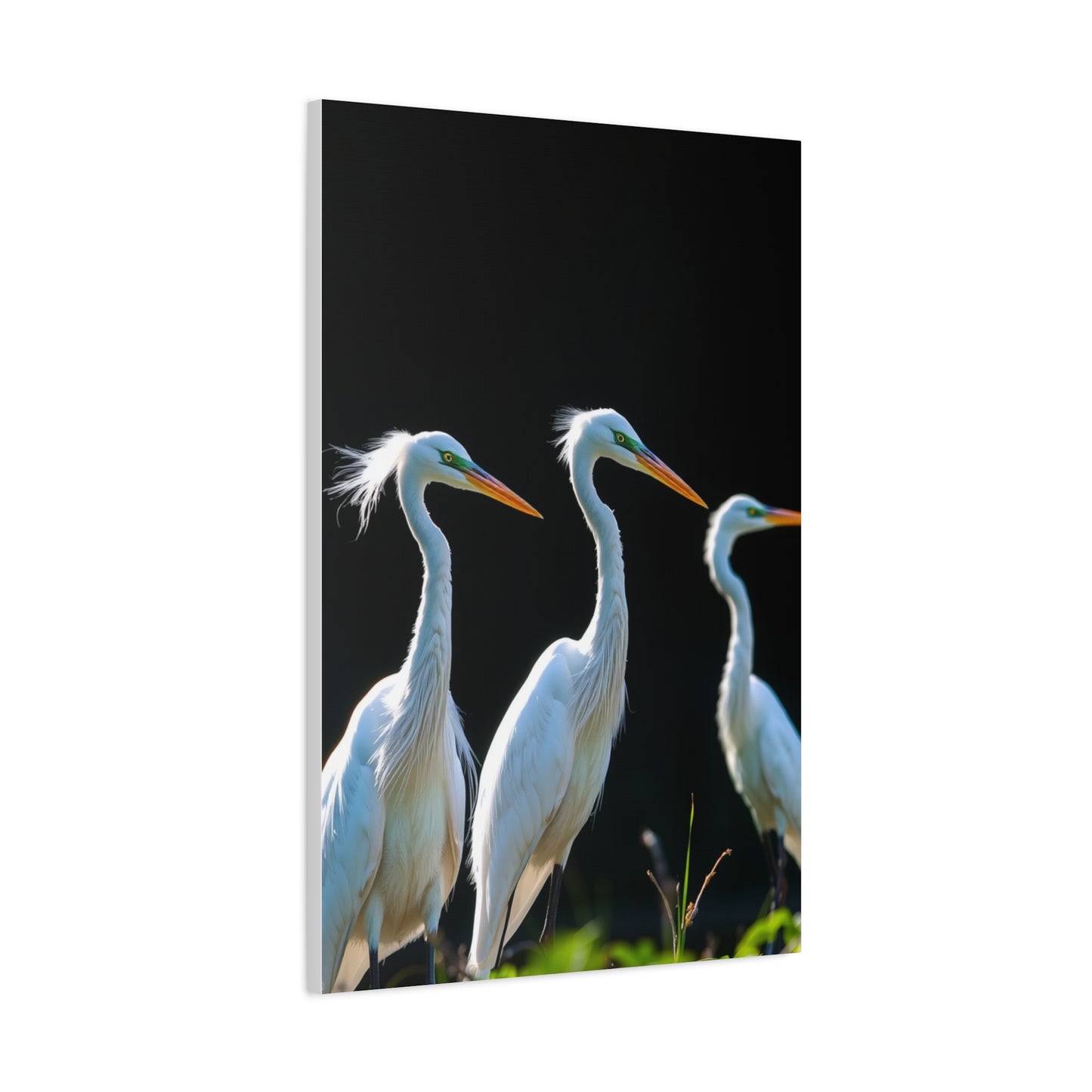Vision Herons and Egrets Art Art Wall Art & Canvas Print