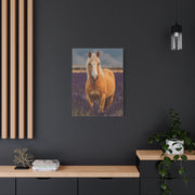 Palomino in Lavender Field Wall Art & Canvas Print