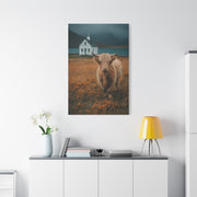 Highland Cow Farm Pasture Wall Art & Canvas Print