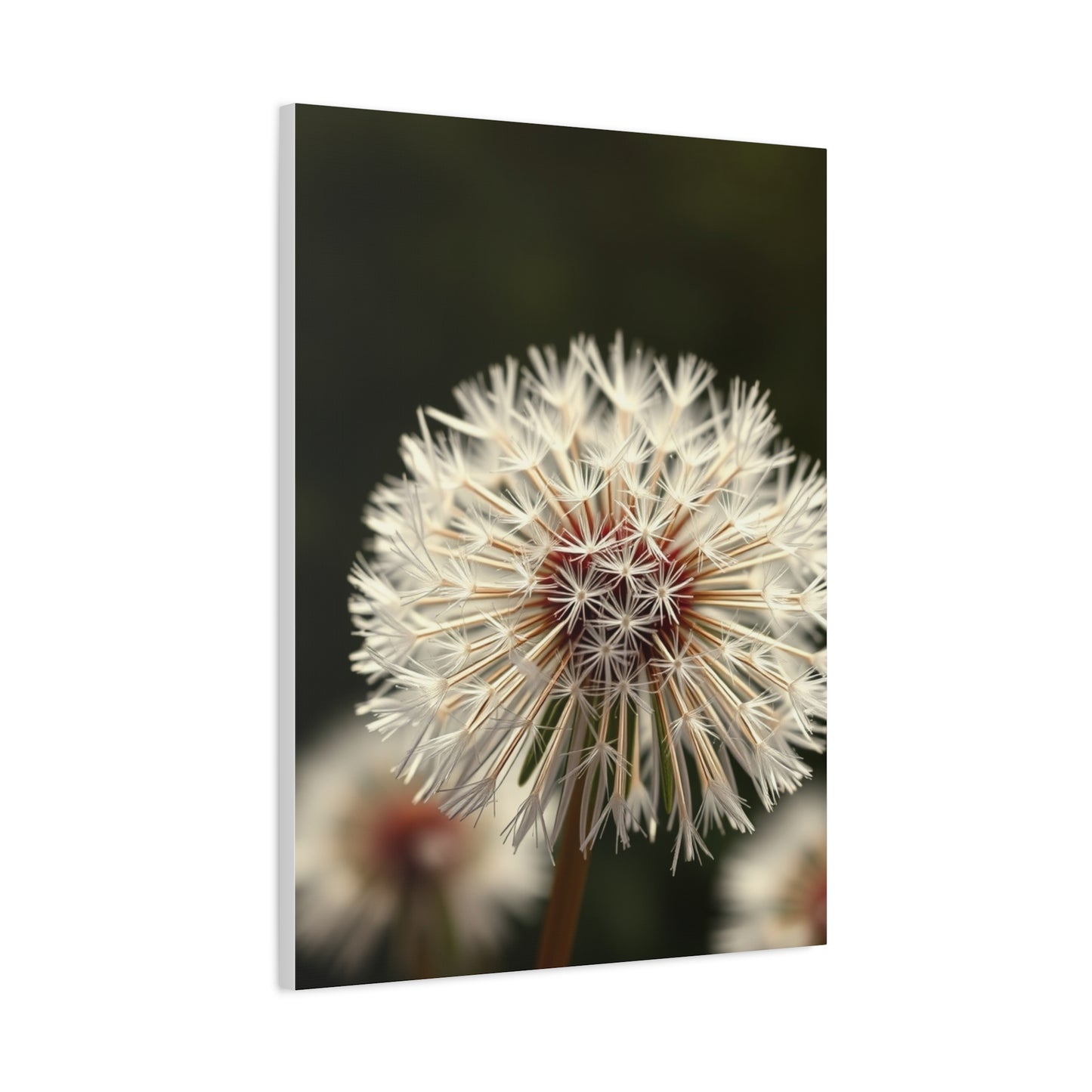 Dandelion Flower Art Supreme Canvas Wall Art & Canvas Print