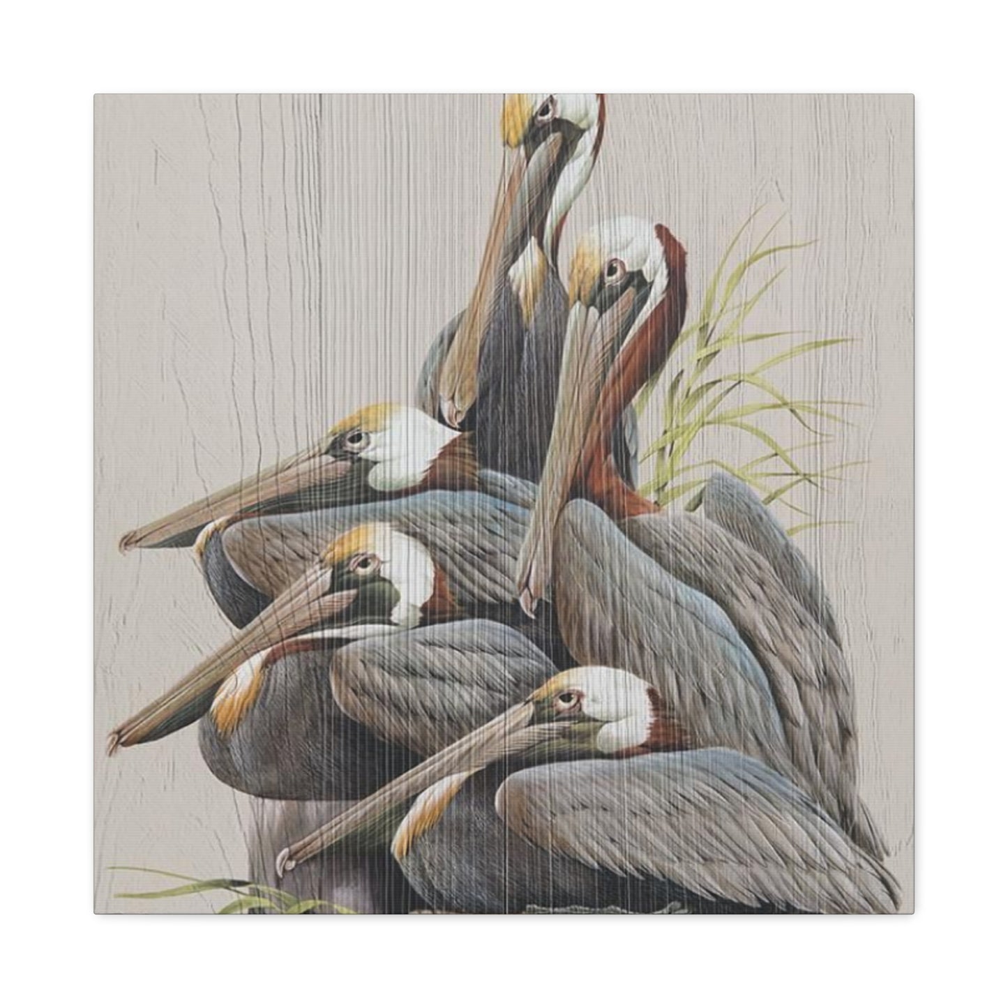 Pelican Family Poster Wall Art & Canvas Prints