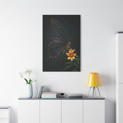 Midnight Black Butterfly On Wildflower Wall Art & Canvas Prints