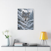 Snow-Covered Pine Wolf Close Portrait Wall Art & Canvas Print
