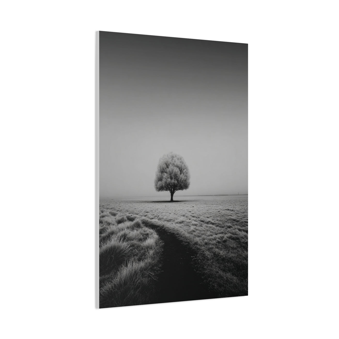 Lone Tree Winter Field Wall Art & Canvas Print