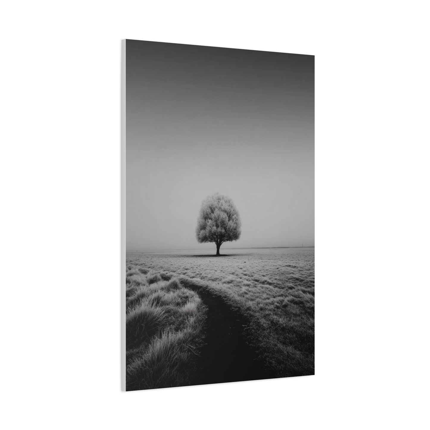 Lone Tree Winter Field Wall Art & Canvas Print