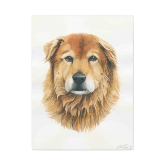 Grace Pop Furry Dog Wall Art & Canvas Prints