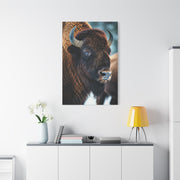 Three-Quarter Angle American Bison with Soft Natural Backdrop Wall Art & Canvas Print