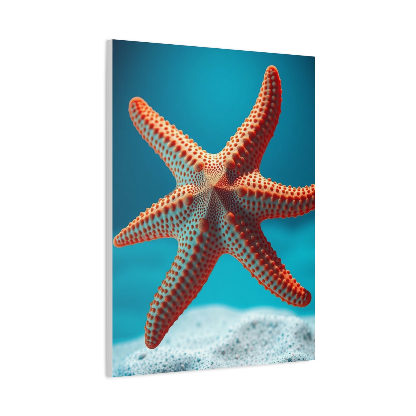 Starfish Art Supreme Canvas Wall Art & Canvas Print