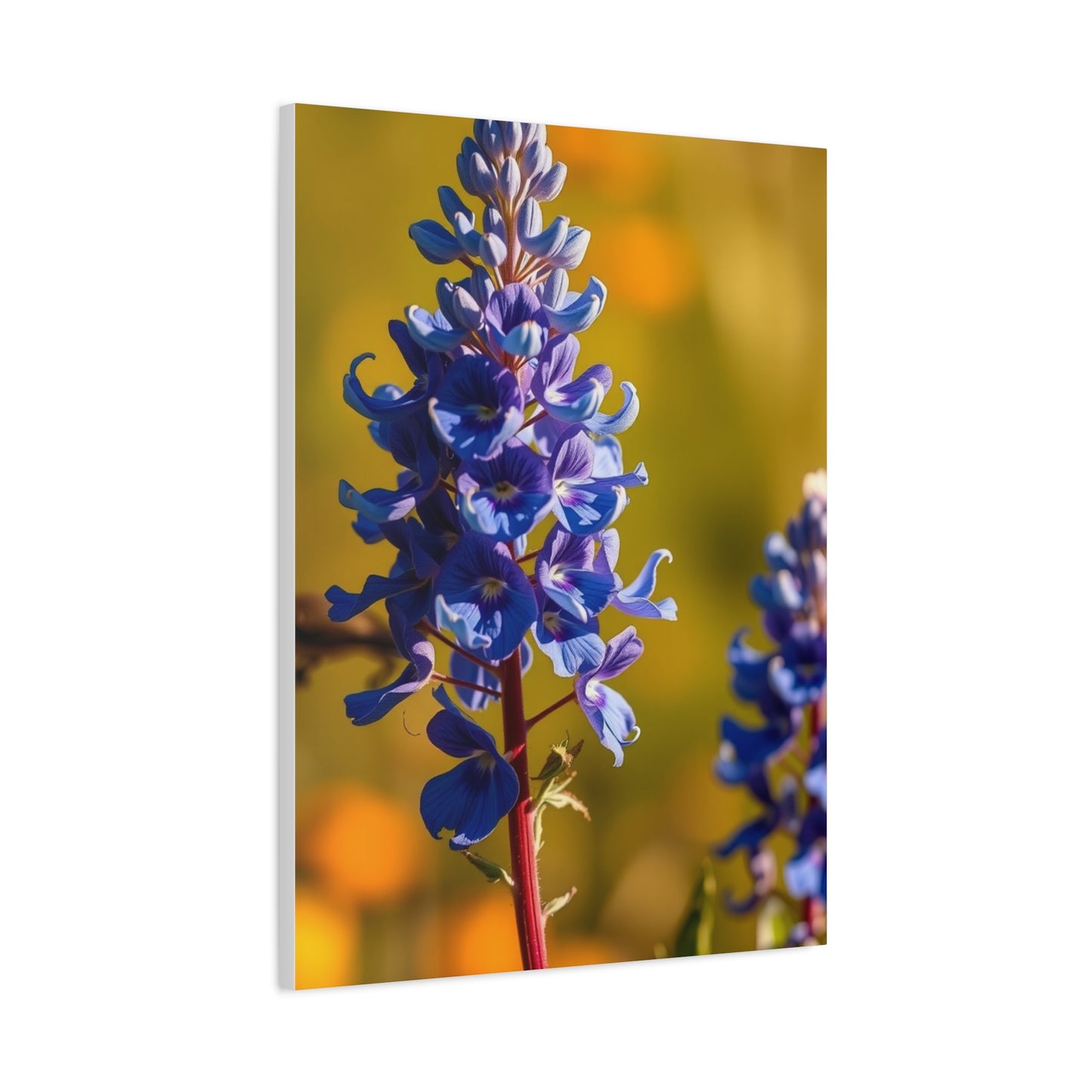 Bluebonnet Flower Art Luxury Canvas Wall Art & Canvas Print