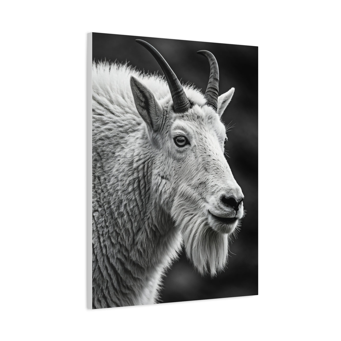 Alpine Goat Portrait Wall Art & Canvas Prints