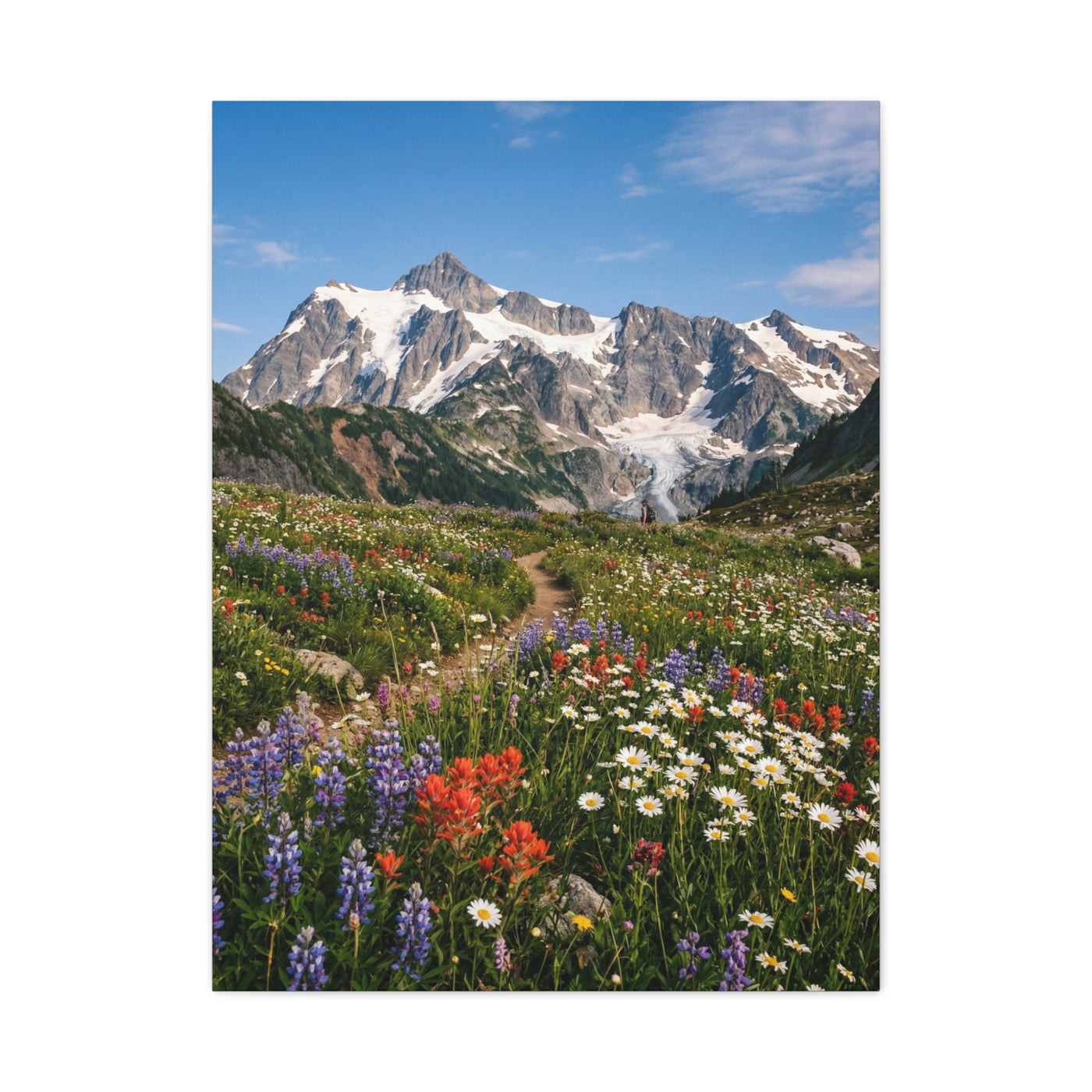 High Alpine Wildflower Meadow Wall Art & Canvas Print