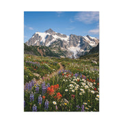 High Alpine Wildflower Meadow Wall Art & Canvas Print