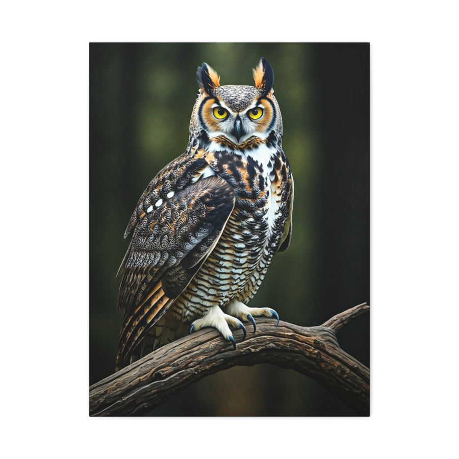 Owl Wall Art