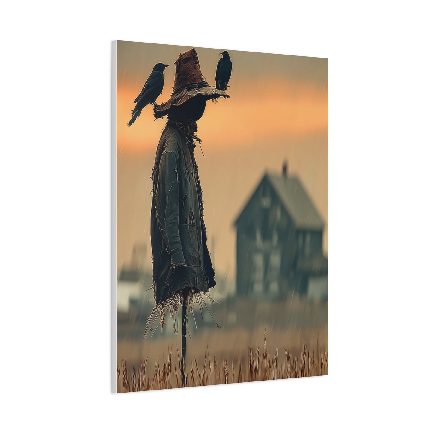 Old Scarecrow in Harvest Field with Crows Wall Art & Canvas Print
